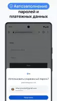 Google Chrome