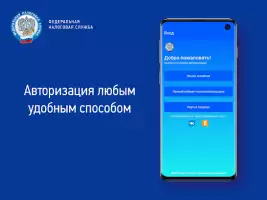 Проверка чеков ФНС России