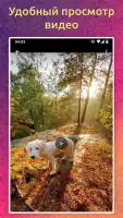 Скачать видео с Лайк без знака